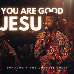 You Are Good Jesu