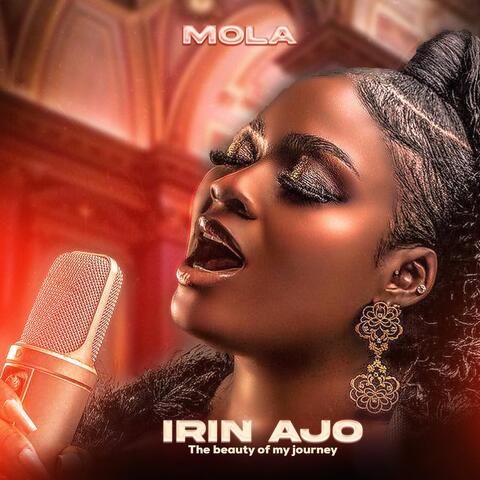 Irin Ajo ( The Beauty of My Journey )