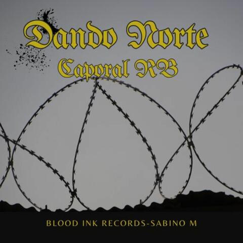 Dando Norte