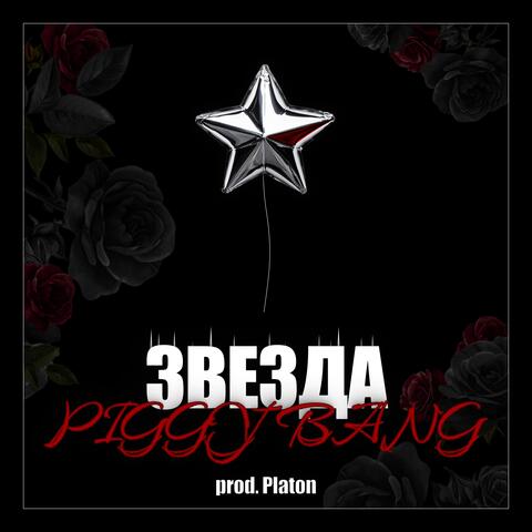 ЗВЕЗДА