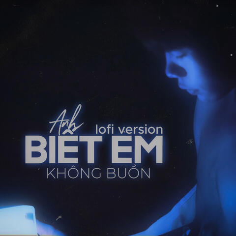 Anh Biết Em Không Buồn