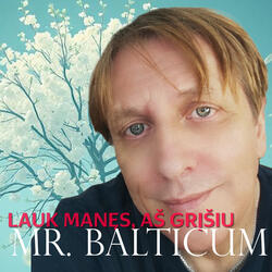 Lauk manęs, aš grįšiu