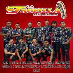 La Boda del Cuitlacoche / El Toro Meco / Pica Perica / Cuando Toco el Sax