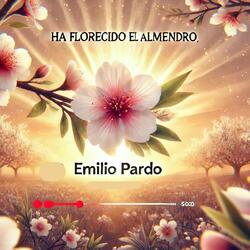 Ha Florecido el Almendro