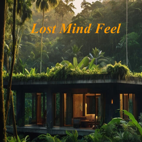 Lost Mind Feel