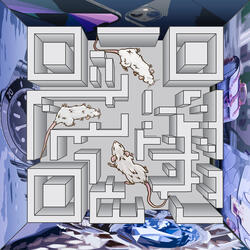 Olho Aberto, Passo Largo