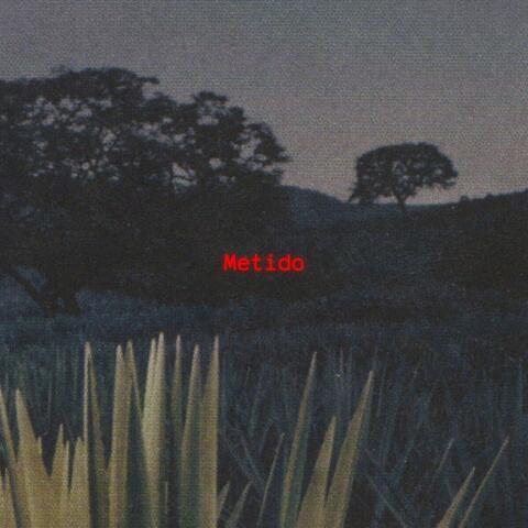 Metido
