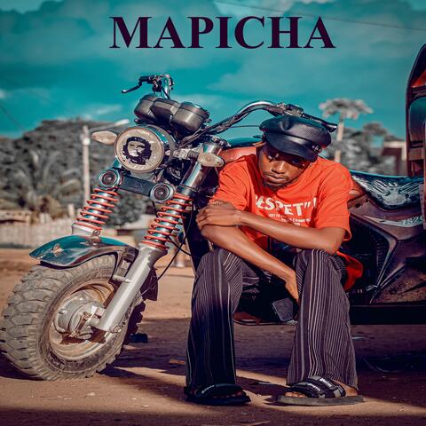 Mapicha