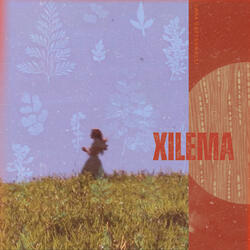 Xilema