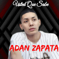 Usted Que Sabe