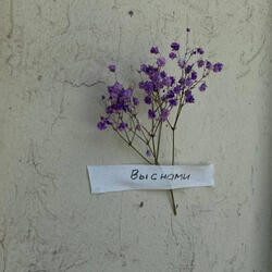 Вы с нами