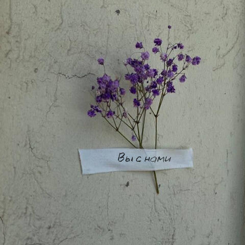 Вы с нами