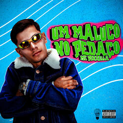 Um Maluco no Pedaço