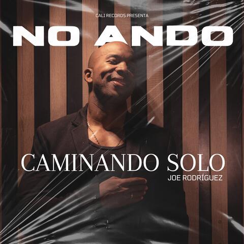 No Ando Caminando Solo