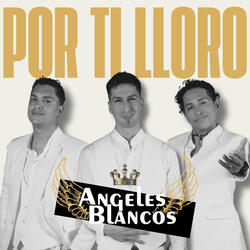 Por Ti Lloro