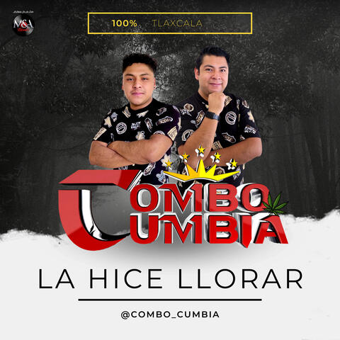 La Hice Llorar