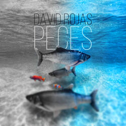 Peces