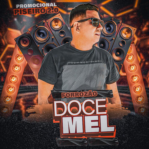 Promocional Piseiro 2.0