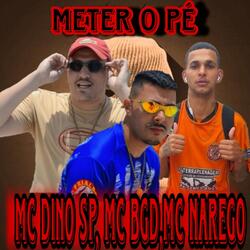 Meter o Pé