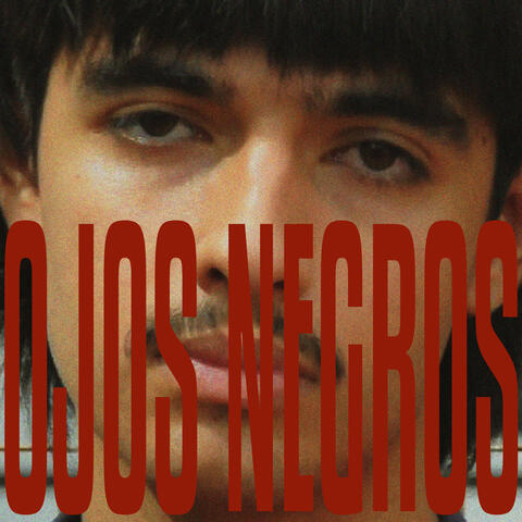 Ojos Negros