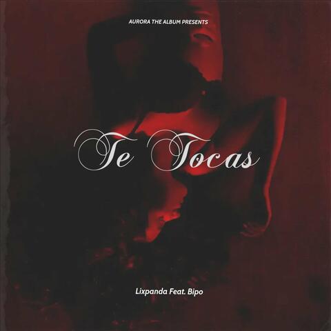 Te Tocas