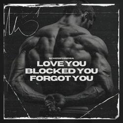 Loved You, Blocked You, Forgot You