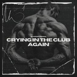 Crying in the Club, Again