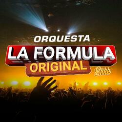 Organización X