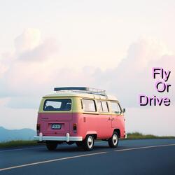 Fly or Drive