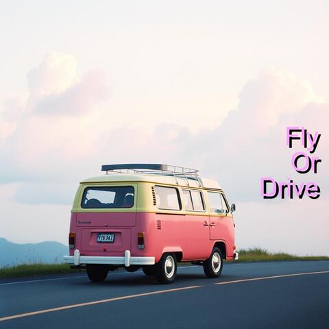 Fly or Drive