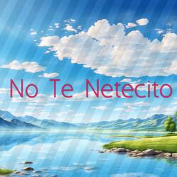 No Te Necesito