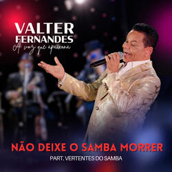 Não Deixe o Samba Morrer