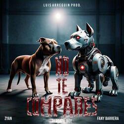 No Te Compares