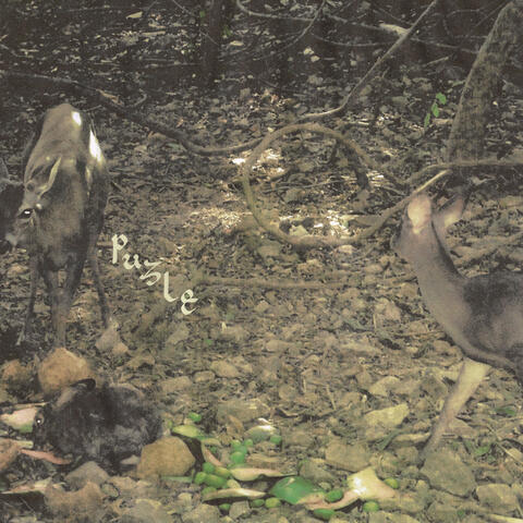 Puzle