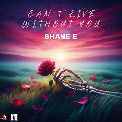 Can't Live Without You