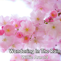 Wandering in the Rain