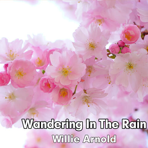 Wandering in the Rain