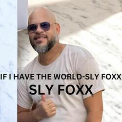 If I Have the World