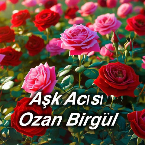 Aşk Acısı
