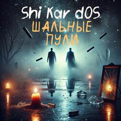 Шальные пули