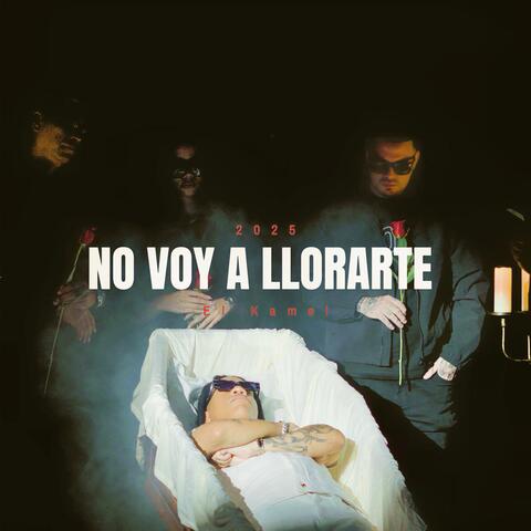 No Voy a Llorarte