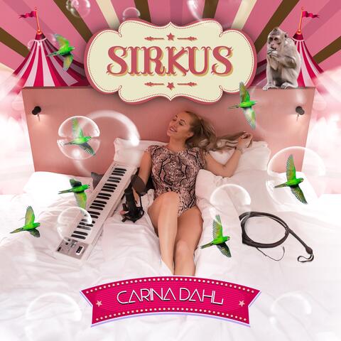 Sirkus