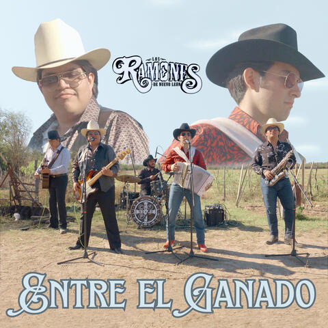Entre el Ganado