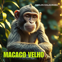 Macaco Velho