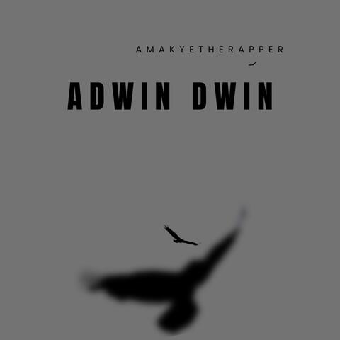 Adwin Dwin