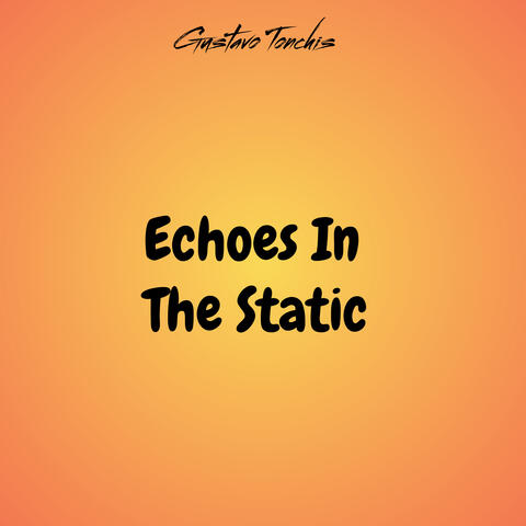 Echoes In The Static