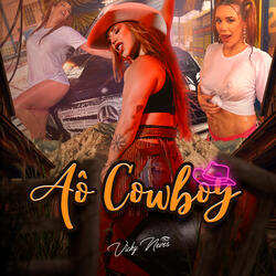 Aô Cowboy