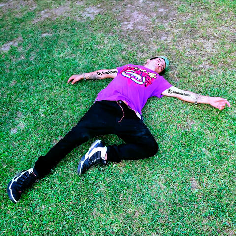 Legalicen la Droga