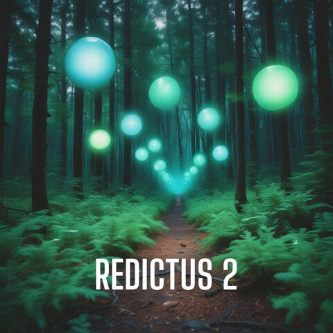 Redictus 2