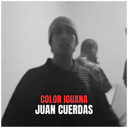 Color Iguana - Juan Cuerdas (Union Fatal)